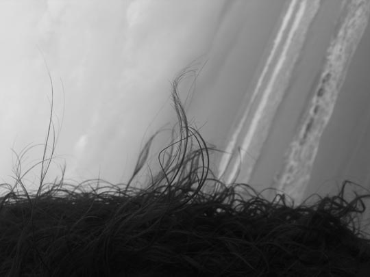  ELENA MONTOYA [Valencia] _ las líneas del mar 