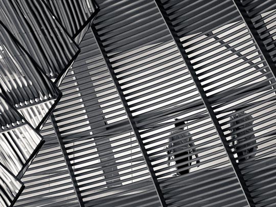  RAFA RAIGÓN [Córdoba] _ libres 