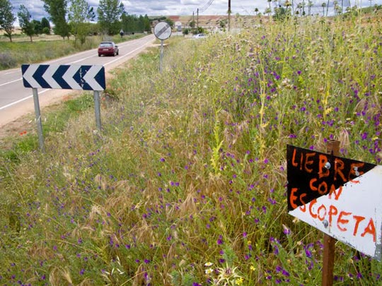  EMILIO FRAILE [Zamora] _ liebre con escopeta 