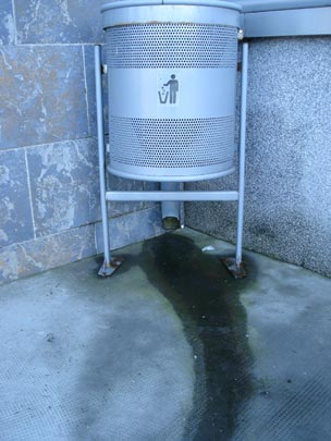  ARIANA SANTAMARIA [Villaviciosa-Asturias] _ limpia asturias, licua tu basura 