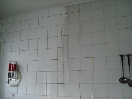  ARIANA SANTAMARIA [Villaviciosa-Asturias] _ limpiando en casa de la niña de shrek 