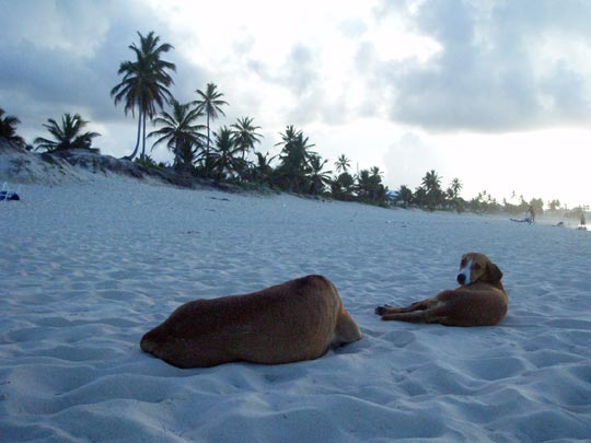  MARIO LASTRA [Alcalá de Henares-Madrid] _ luna de miel 