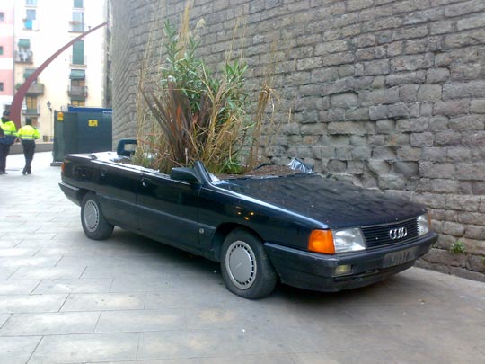  CARLOS MOLANO [L'Hospitalet de Llobregat-Barcelona] _ maceta-car 