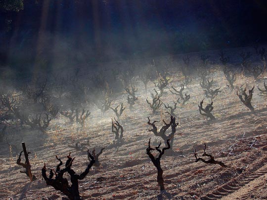  ANGELA LLOP [Torrelles de Foix-Barcelona] _ magia matinal 