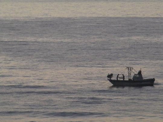  GEMA HERNANDEZ ORQUIN [Gandia-Valencia] _ mar y hombre 