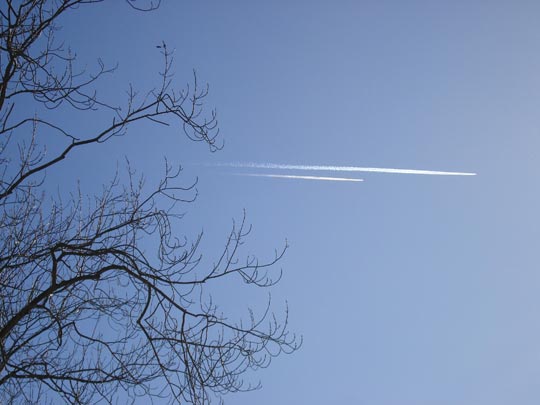  ARIANA SANTAMARIA [Villaviciosa-Asturias] _ ¡maricón el último! 