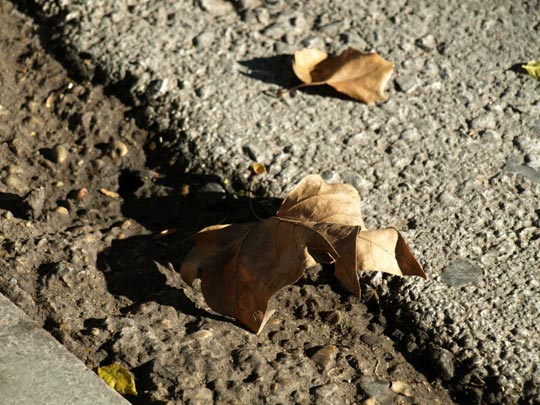  HUMBERTO NAVARRO [Torrevieja-Alicante] _ marta 