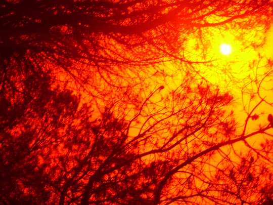  IVAN GÓMEZ [Sant Just Desvern-Barcelona] _ mecanoscrito del segundo origen, 2a. parte 