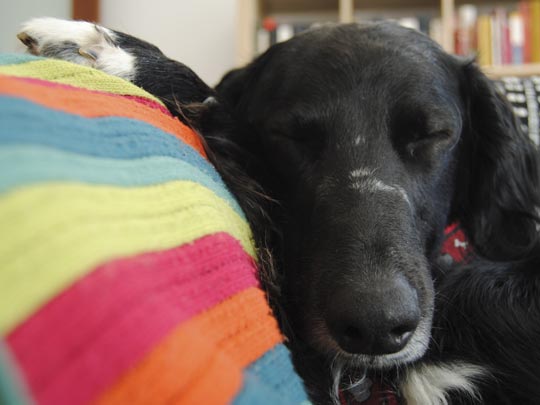  PATRICIA LEBRANCÓN [Vitoria-Gasteiz-Álava] _ momento sofá 