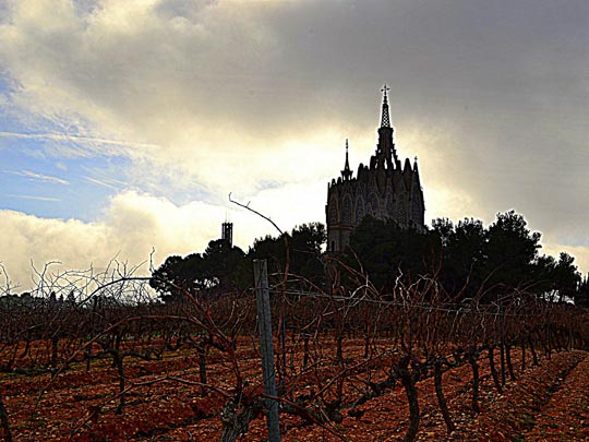  ANGELA LLOP [Torrelles de Foix-Barcelona] _ montferri, alt camp, tarragona 