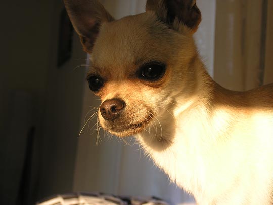  JOAQUÍN GÓMEZ [Sevilla] _ moving 