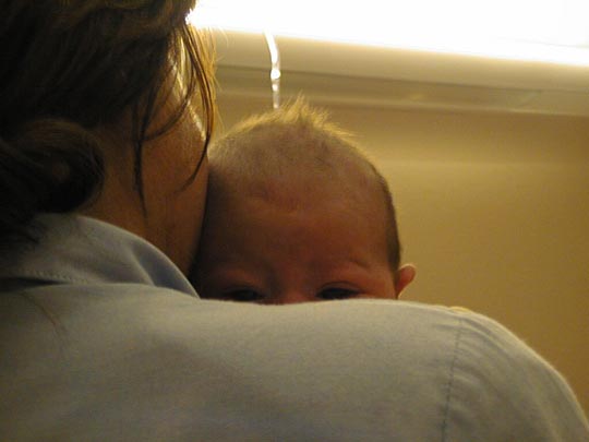  DANIEL RAMOS [Corbera de Llobregat-Barcelona] _ national papagraphic 