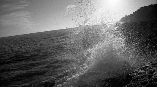  NICO MUÑOZ [Coma-Ruga-Tarragona] _ natura salvatge 