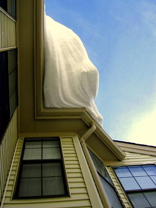  JOHANA RICARDO [New Jersey-USA] _ nevada 