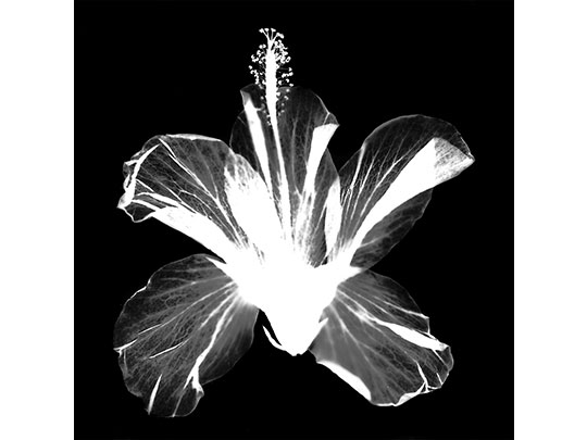  JORGE RUIZ [Talavera de la Reina-Toledo] _ ningún hueso roto 