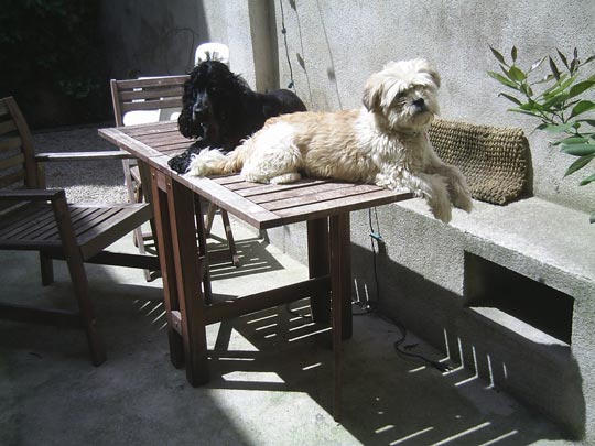  VIOLETA ROCA [Vilafranca del Penedès-Barcelona] _ ¡niños, a la mesa! 