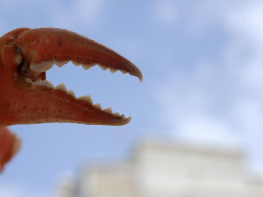  IVAN BOZERO [Huelva] _ no estamos a salvo 