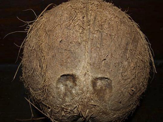  ENCARNACIÓN ALVAREZ [Bilbao] _ no estamos a salvo 