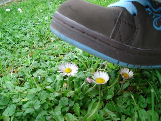  ARIANA SANTAMARIA [Villaviciosa-Asturias] _ noooooooooooo 