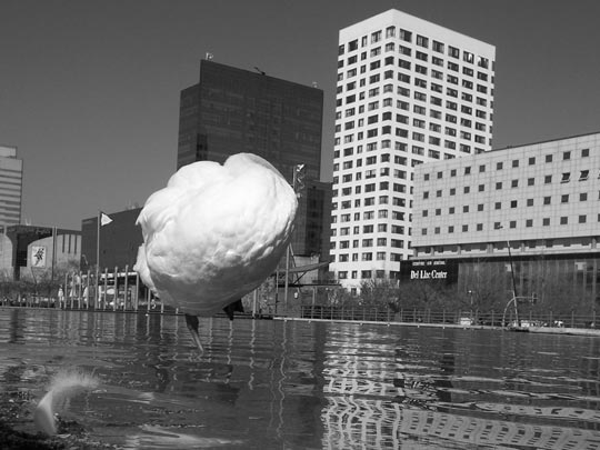  FUENSI MORENO [Sabadell-Barcelona] _ nube de cisne 
