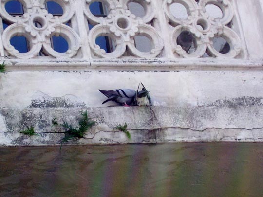  MARIA EUGENIA [Rosario-Argentina] _ nuestro secreto 