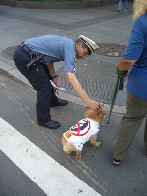  NACHO CLEMENTE [Castelldedels-Barcelona] _ ny dijo no 