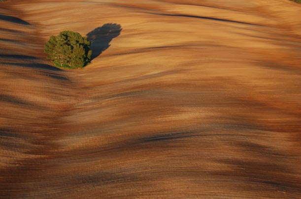 LLATZER MENDEZ [Felanitx-Illes Balears] _ onduladas matutano 