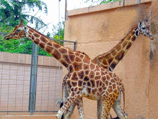  CARMEN BENAVENT [Paterna-Valencia] _ opposite 