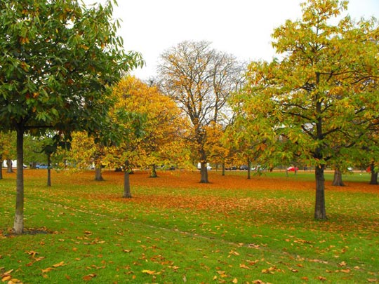  Mª JOSÉ GONZALEZ [Madrid] _ otoño en el hyde 