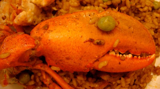  EDUARD RUBIO [Premià de Mar-Barcelona] _ paella predator 