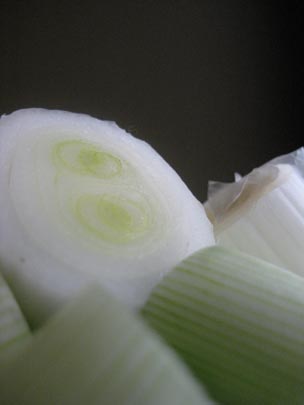  MERITXELL PADRÓS [Barcelona] _ paisaje vegetal 