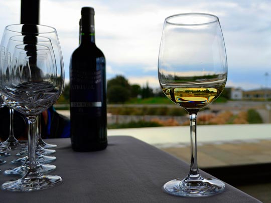  ANGELA LLOP [Torrelles de Foix-Barcelona] _ paisajes del vino 