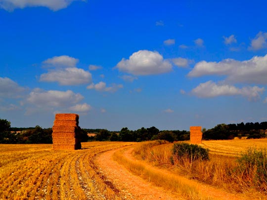  ANGELA LLOP [Torrelles de Foix-Barcelona] _ paja 