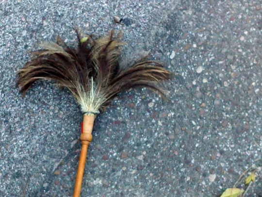  JORGE RUIZ [Talavera de la Reina-Toledo] _ palmera en el asfalto 