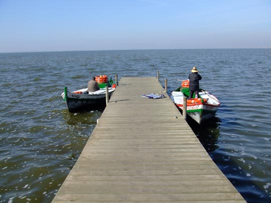  ENRIC REVERTER [Alcanar-Tarragona] _ pasarela 