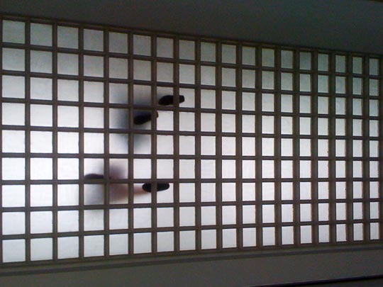  EDUARDO LLASAT [Barcelona] _ pasos 