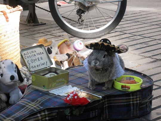  NEKANE VITORIA [Vitoria-Gasteiz-Álava] _ pero más triste es de robar 