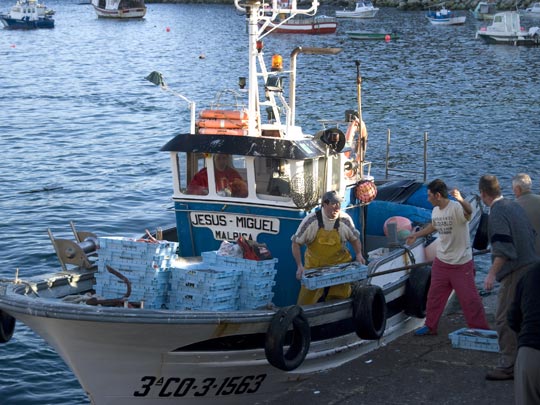  MARC GALVEZ [Mollet del Vallès-Barcelona] _ pescaito fresco 