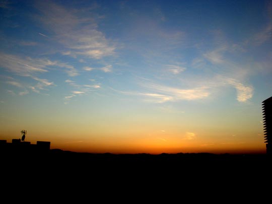  MIREIA JURADO [Cerdanyola del Vallès-Barcelona] _ pinceladas 