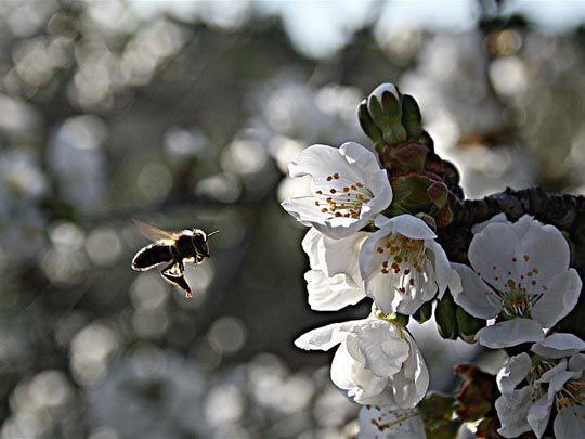  KENNETH EXPOSITO [Barcelona] _ primavera 