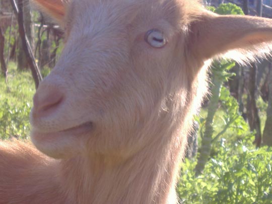  ROCIO OTERO [Redondela-Pontevedra] _ prohibido mirar 