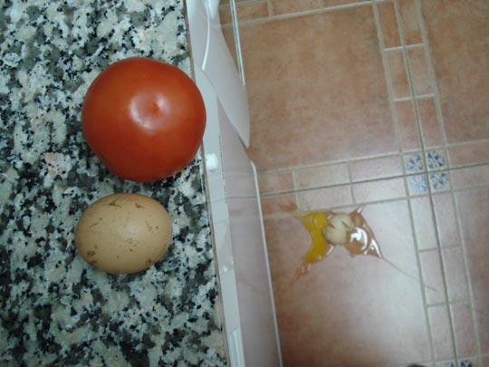  ARIANA SANTAMARIA [Villaviciosa-Asturias] _ pues sí que tuvo huevos a tirarse... ups 