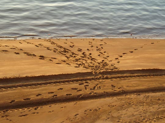  Mª VICTORIA MORENO [Fuengirola-Málaga] _ punto de encuentro 