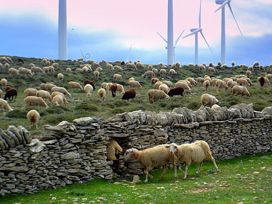  ANGELA LLOP [Torrelles de Foix-Barcelona] _ ¡que nos quedamos las últimas! 