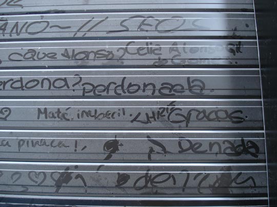  ARIANA SANTAMARIA [Villaviciosa-Asturias] _ red social 1.0 