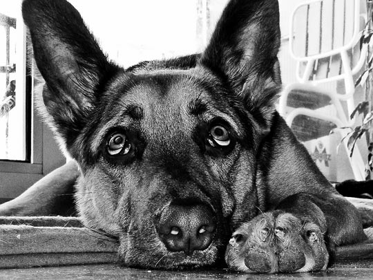  MARINA TÁPIA [Barcelona] _ reflexiones profundas 