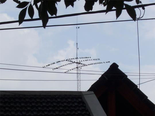  MARIA EUGENIA [Rosario-Argentina] _ reunión cumbre 