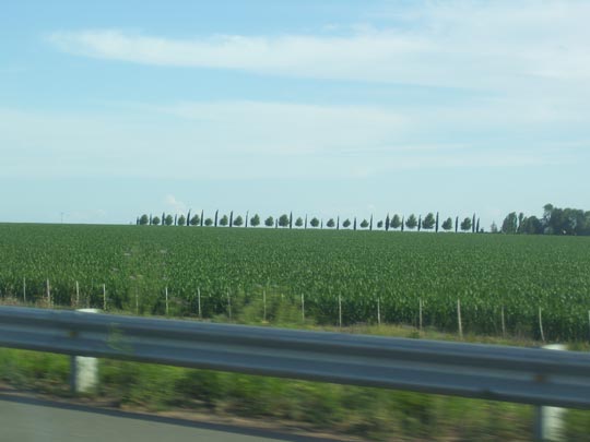  MARIA EUGENIA [Rosario-Argentina] _ ritmo 