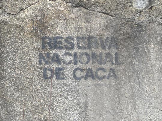  XAVIER RIGATA [Guadalajara] _ salvemos nuestras mierdas 