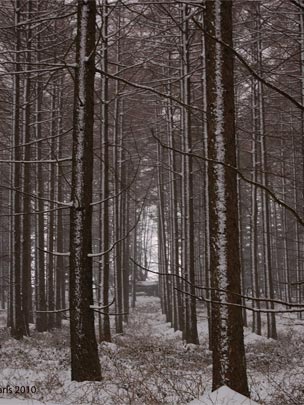  JOSE CARLOS MARTIM [Azkoitia-Guipúzcoa] _ samiño 